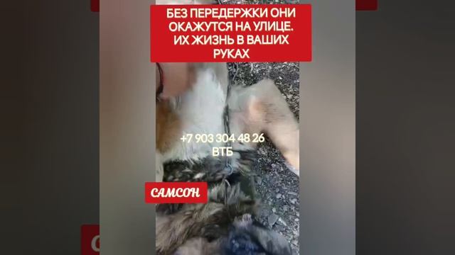 Жизнь за деньги, по другому не получается, помогите пожалуйста оплатить