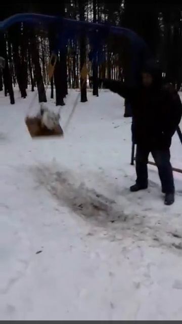 Собака из Гродно, которая любит кататься на качелях
