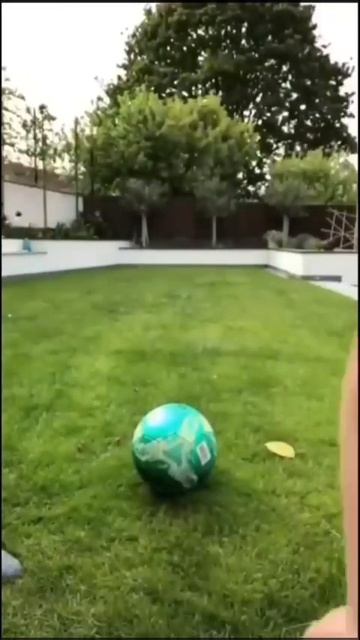 Когда твой отец — футболист и просто поиграть недостаточно