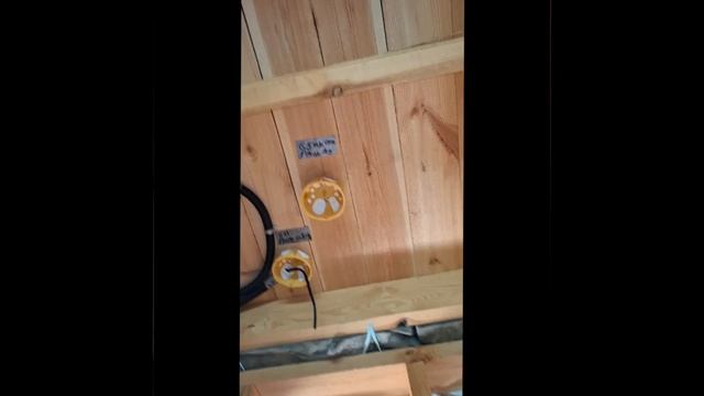 1000025344.mp4 (Собака смотрит на электроснабжение нового дома А-фрейм)