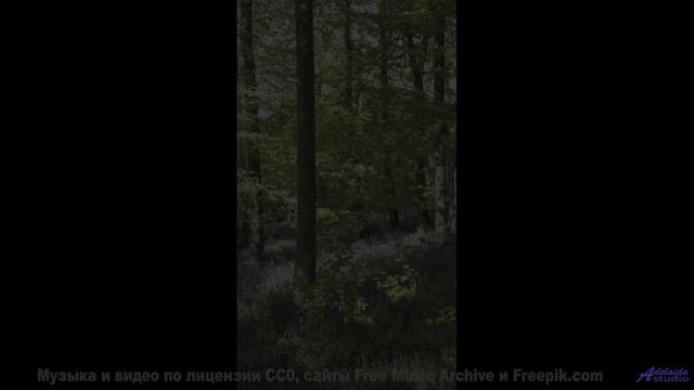 Пейзажи качают сердце, как волны качают море - Hurry Ellie -- Taylor Poe -- 10 Million Babies