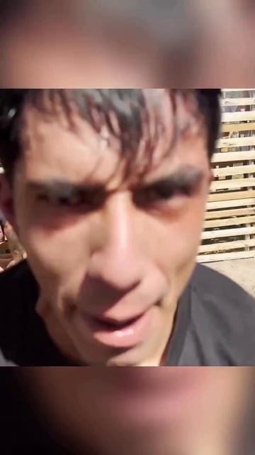 Лучшие нокауты Подпишись и ставь лайк #ufc #mma #youtube #sports #tiktok #shortsvideo #russia #box