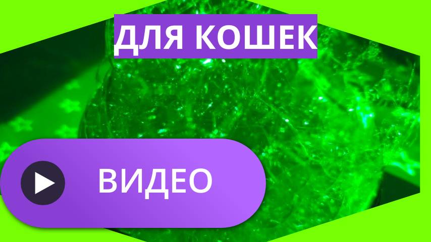 Видео для кошек
