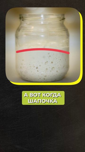 Как сделать хлебную закваску и проверить её готовность?