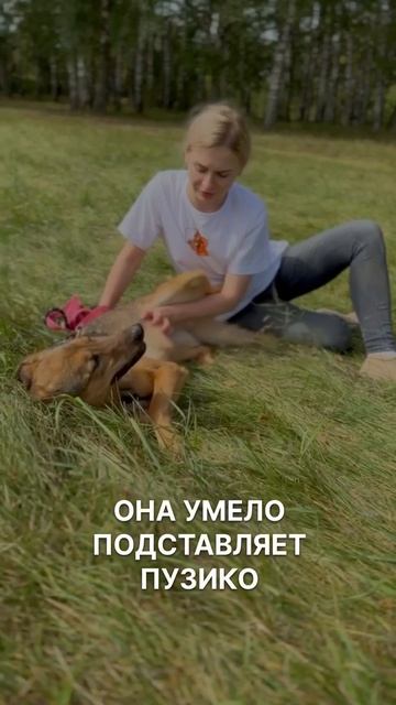 Элис из приюта ищет дом /Москва, Некрасовка