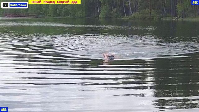 Спасение от комаров в озере 03.06.2025 #юныйпрадедбодрыйдед #авсарх