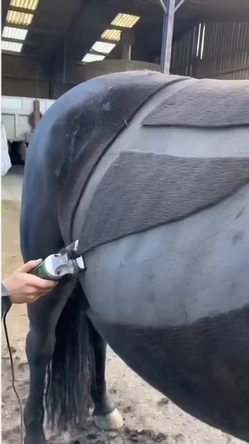 Most Satisfying Job ever