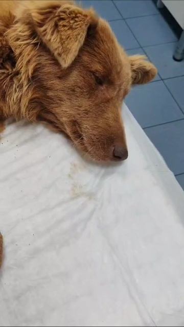Даже не знаем, как про это рассказать