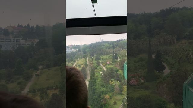 Подъем на Дендрарий в Сочах