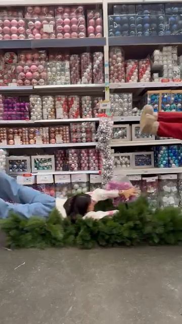 Павлов Family (1233)