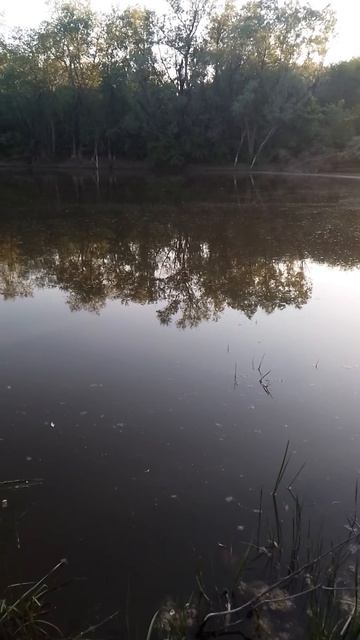 озеро в деревне.звуки природы