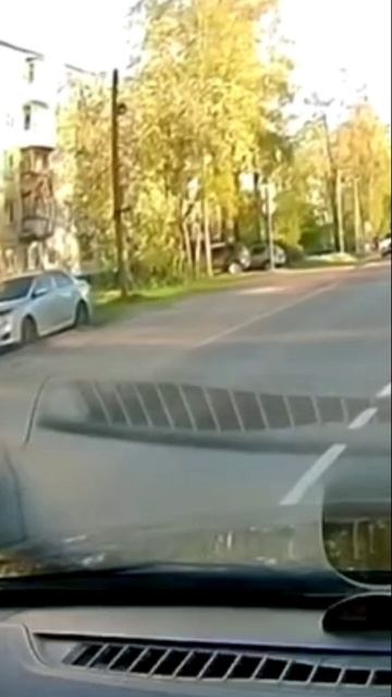 Ёжик бежит по зебре