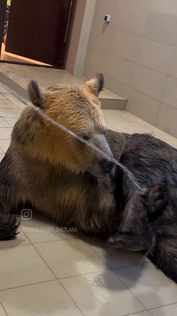 1000087438.mp4