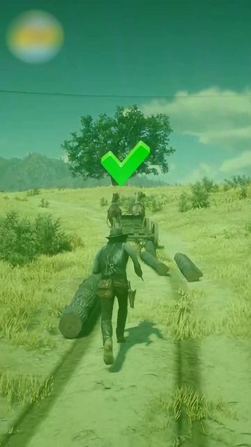 🥶 Проверяем Мифы в Red Dead Redemption 2 #shorts