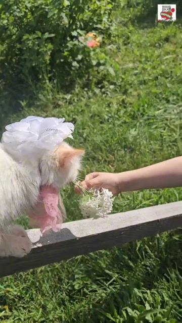 К Настюне в гости приехала её Любимая Подружка Маша 🌞😻❤️🙎♀️💐