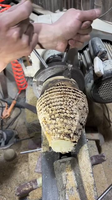 Japan’s Bamboo Summer Hack #shortsvideo