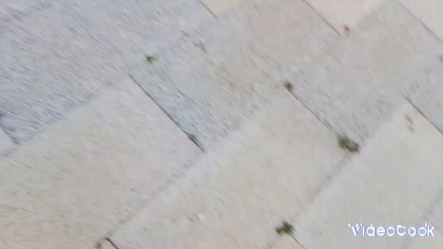 Один день похождений в городе | Канцлер, и другие приключения. | Алёнка Сластёнка.