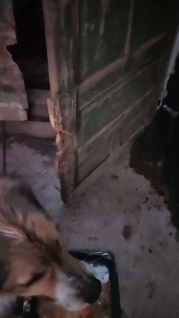 1000241429.mp4