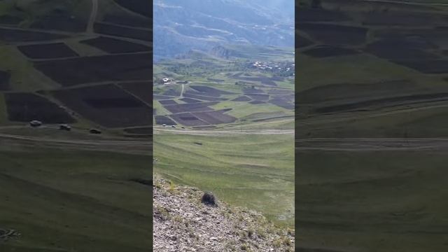 Мавлид