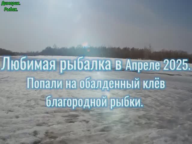 Рыбалка в Апреле 2025.
Попали на обалденный
 клёв Хариуса и Ленка.