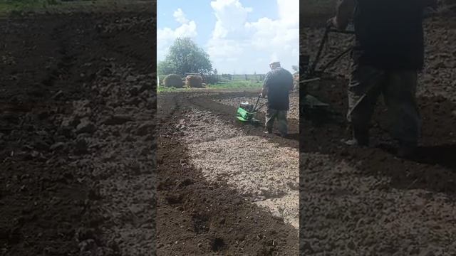 работа мотоблоком