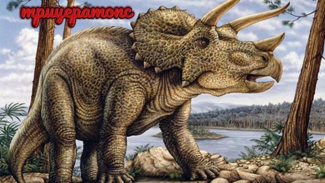 топ 3 моих любимых трав