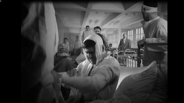 Летят журавли. Миниобзор. женская верность. Отношения. Мужское движение МД. долг честь Родина.