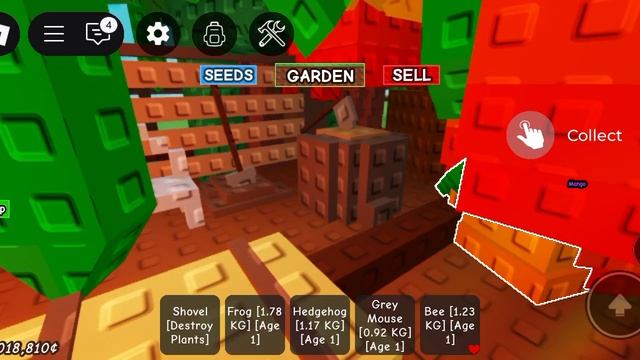 Grow a garden