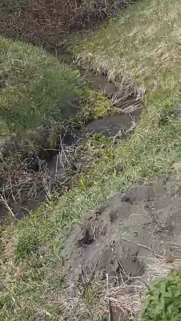 Летние секреты успешного сельского хозяйства