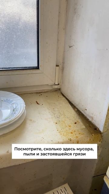 Счастье новости ‼️ мы её нашли ‼️#мотивациянауборку