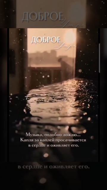 Доброе утро #доброеутро #благодарность
