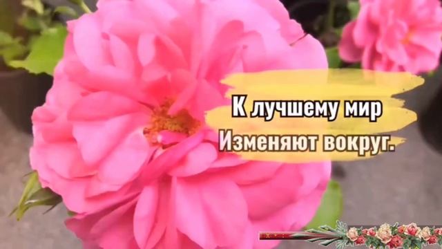 С днём соцработника. Музыкальная открытка поздравление.