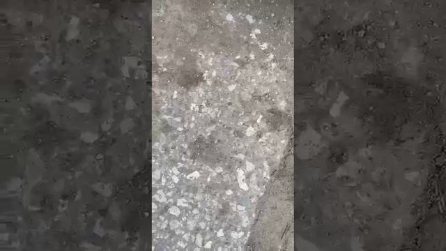 1000059259.mp4