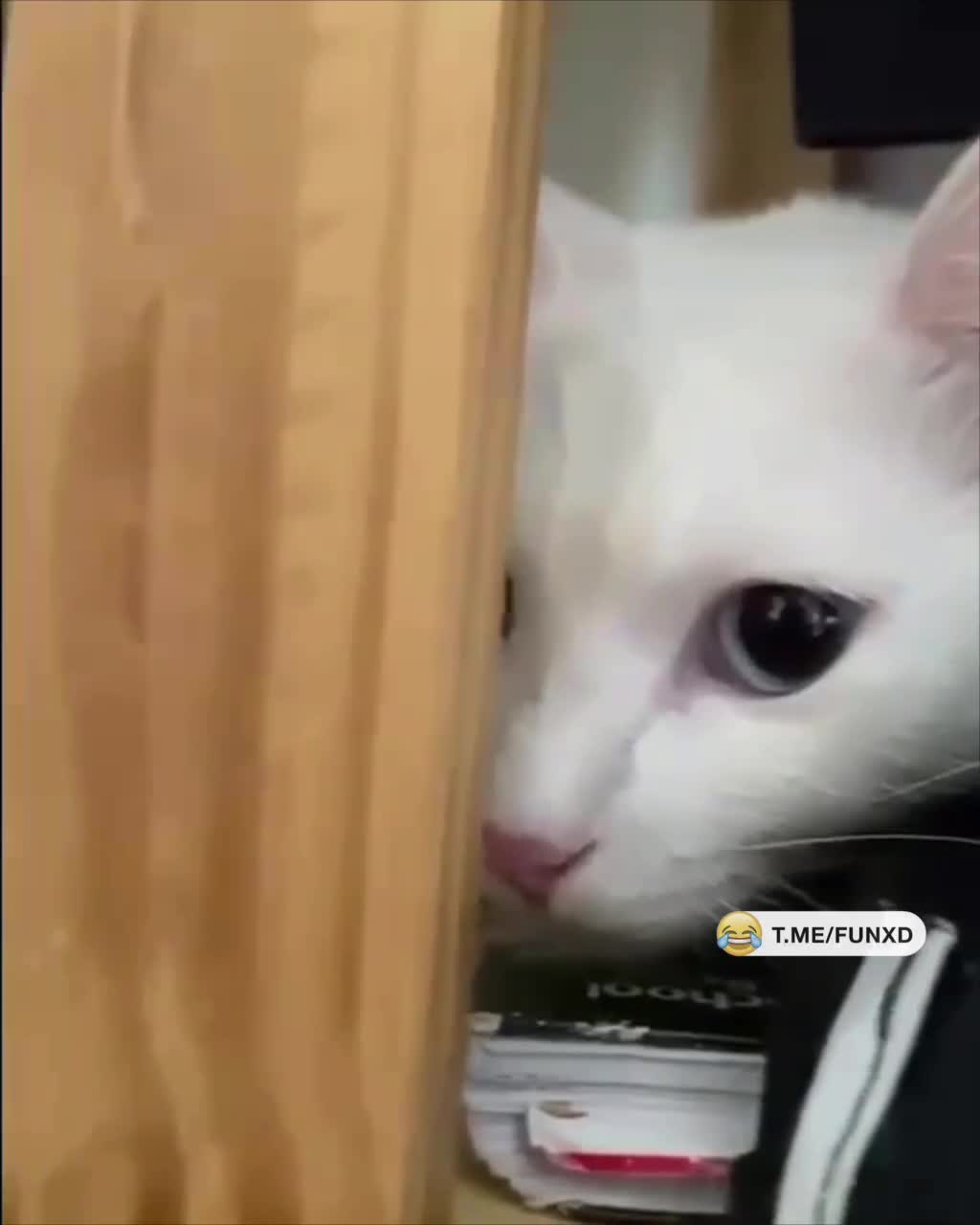 Доброе утро!😅