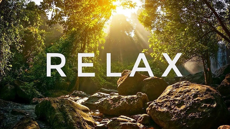 Релакс-видео.Красивая музыка и отдых для глаз. 🌳🌲🎄🌿☘️🌊🌊