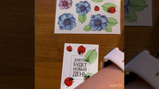 Жизнь в Кармашках, ProjectLife - все очень просто!