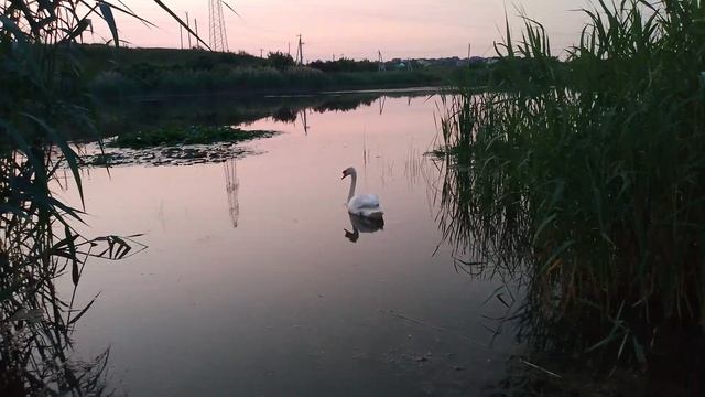25.06.03 3