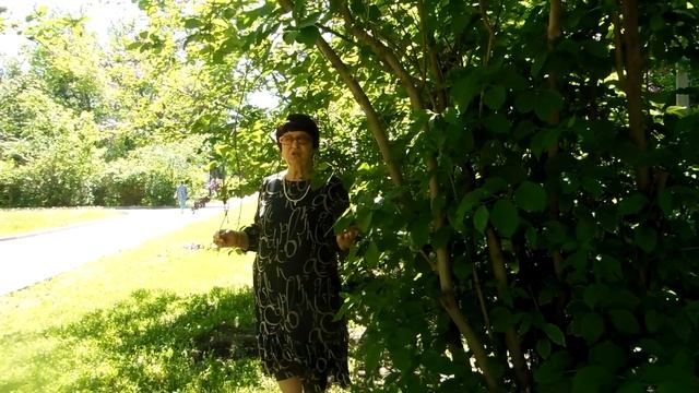 video_9942119615089.mp4