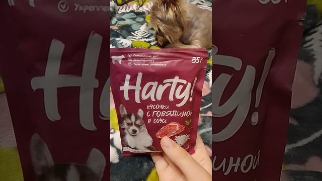 корма для собак.