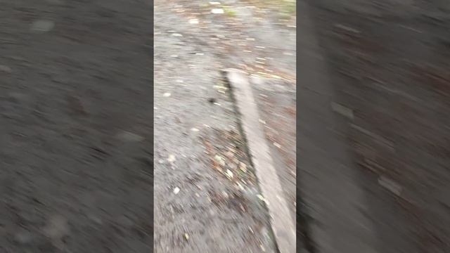 ТУНГ ТУНГ ТУНГ ТУНГ САХУР ЧАСТЬ 3