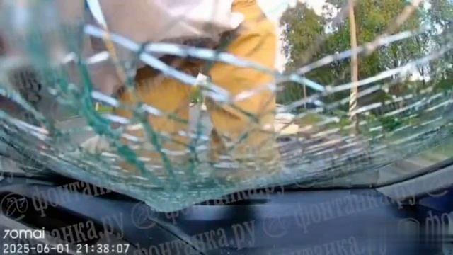 Угашенная наркоманка из Питера запрыгнула на машину прямо на дороге и голой ногой разбила лобовое ст