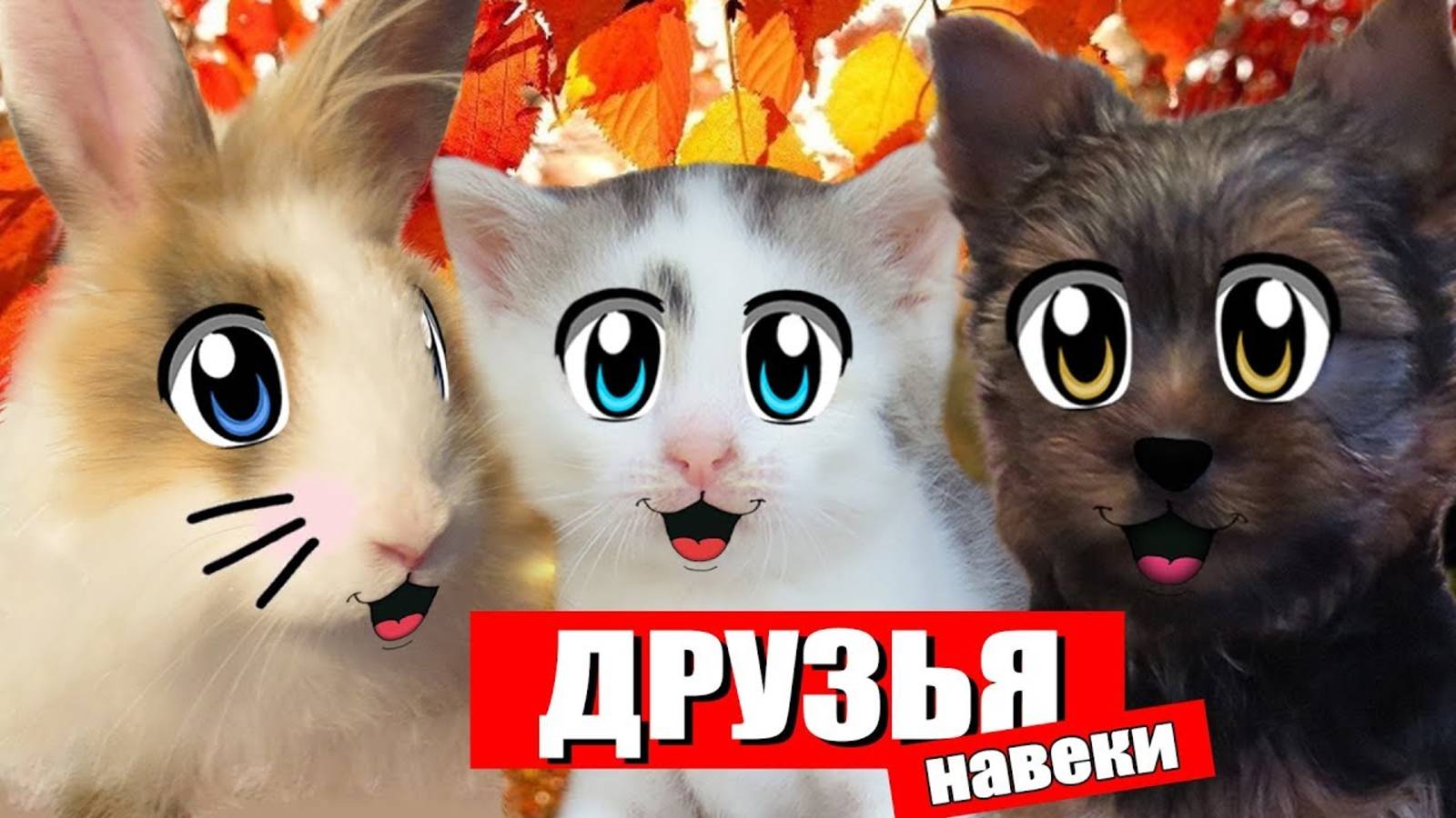 КОТ МАЛЫШ И КОШЕЧКА МУРКА ИГРАЮТ с кроликом БАФФИ и щенком ПУПСЕЙ на улице! А НУ КА ДАВАЙ КА