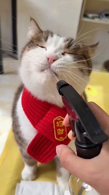 ХихиЧпок Юмор