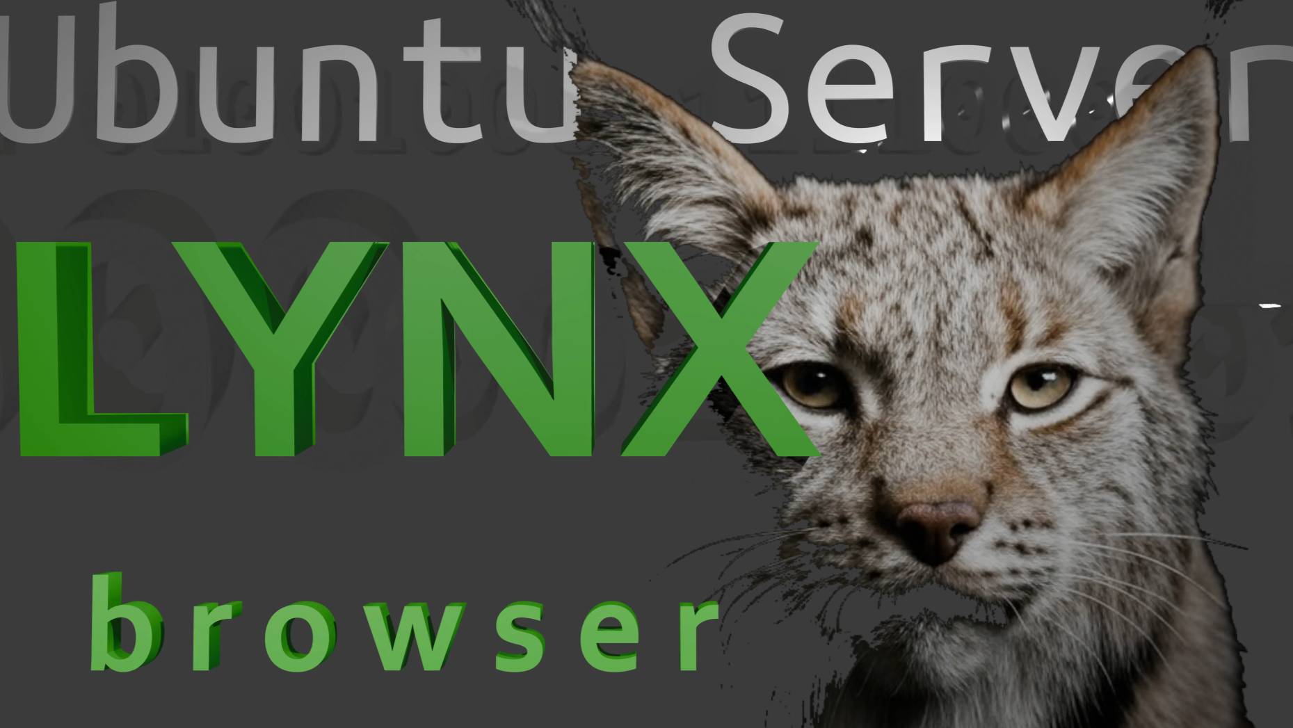 Linx браузер