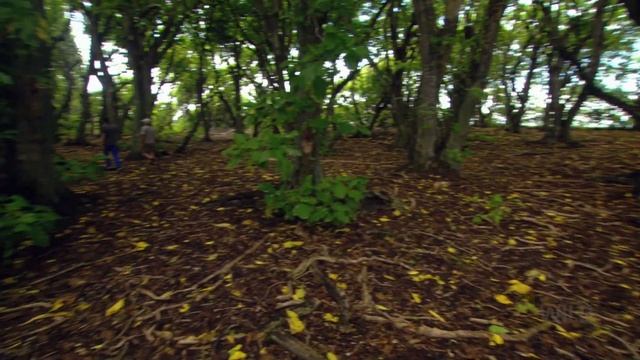 The Last Untouchable Eden | Nat Geo Wild