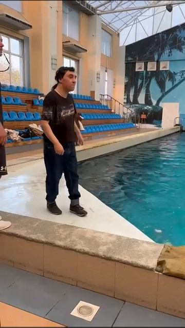Повелитель дельфинариев.mp4