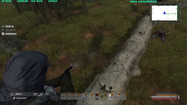 📹СТРИМ🌳 DAYZ🌳S.T.A.L.K.E.R. QUANT🌳В ЗОНЕ ОТЧУЖДЕНИЯ🌳Ч.34