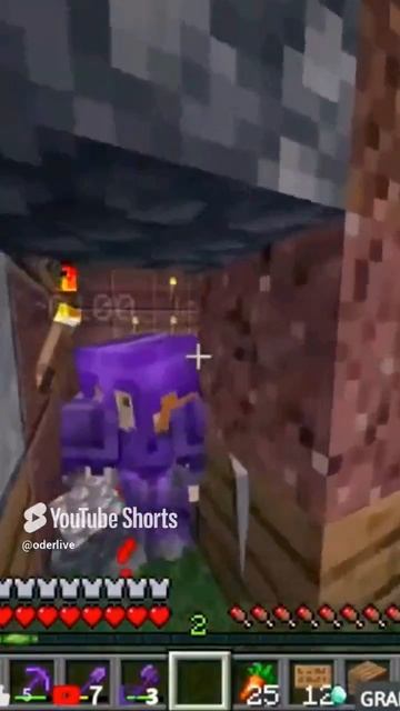 Minecraft Лучшее #957