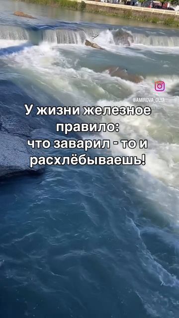 Правила жизни