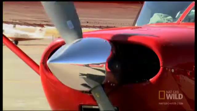 Africa's Eye in the Sky | Nat Geo Wild